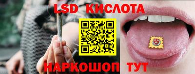 мдпв Камышлов